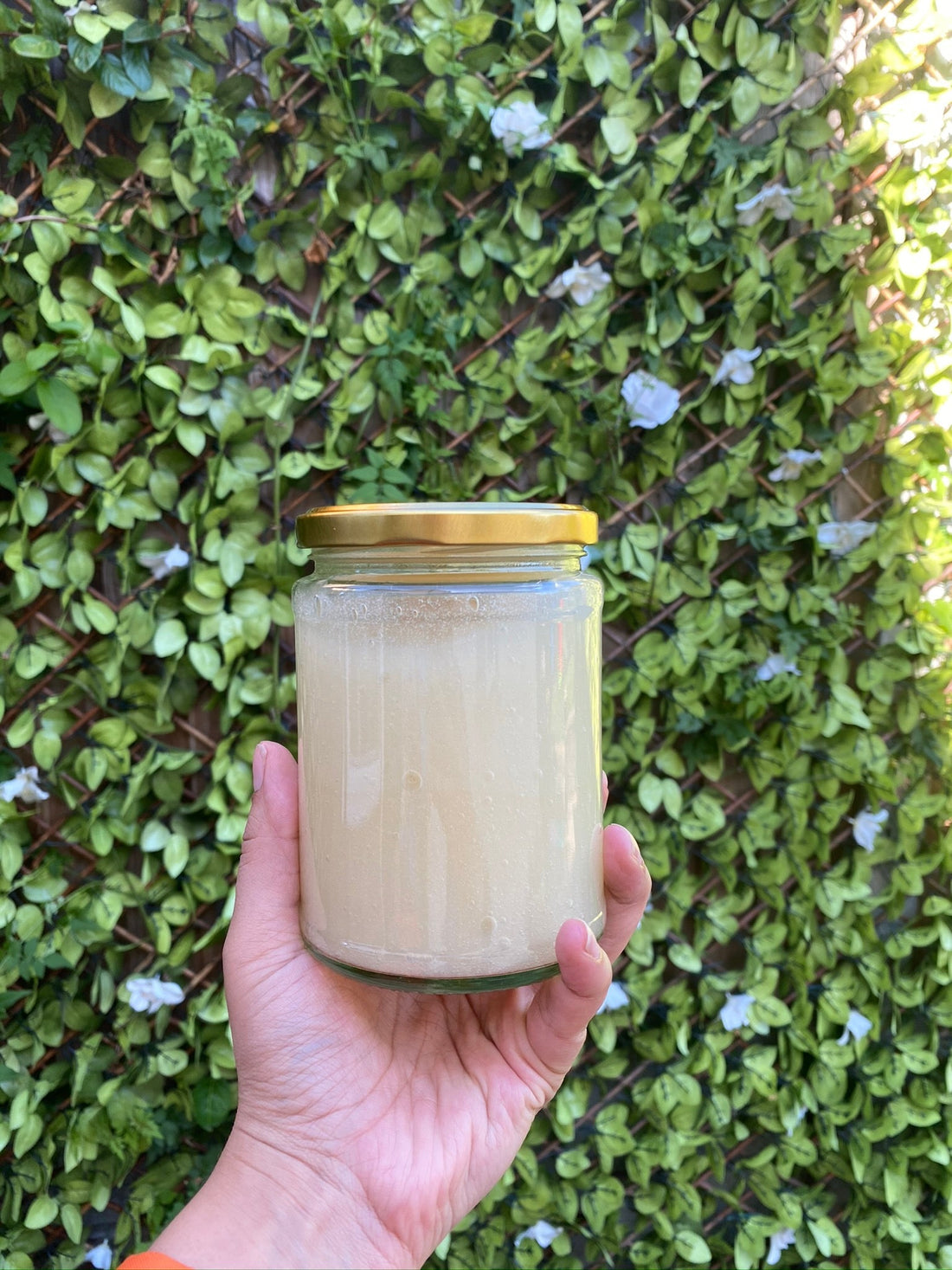 A Guide to Using Sea Moss Gel