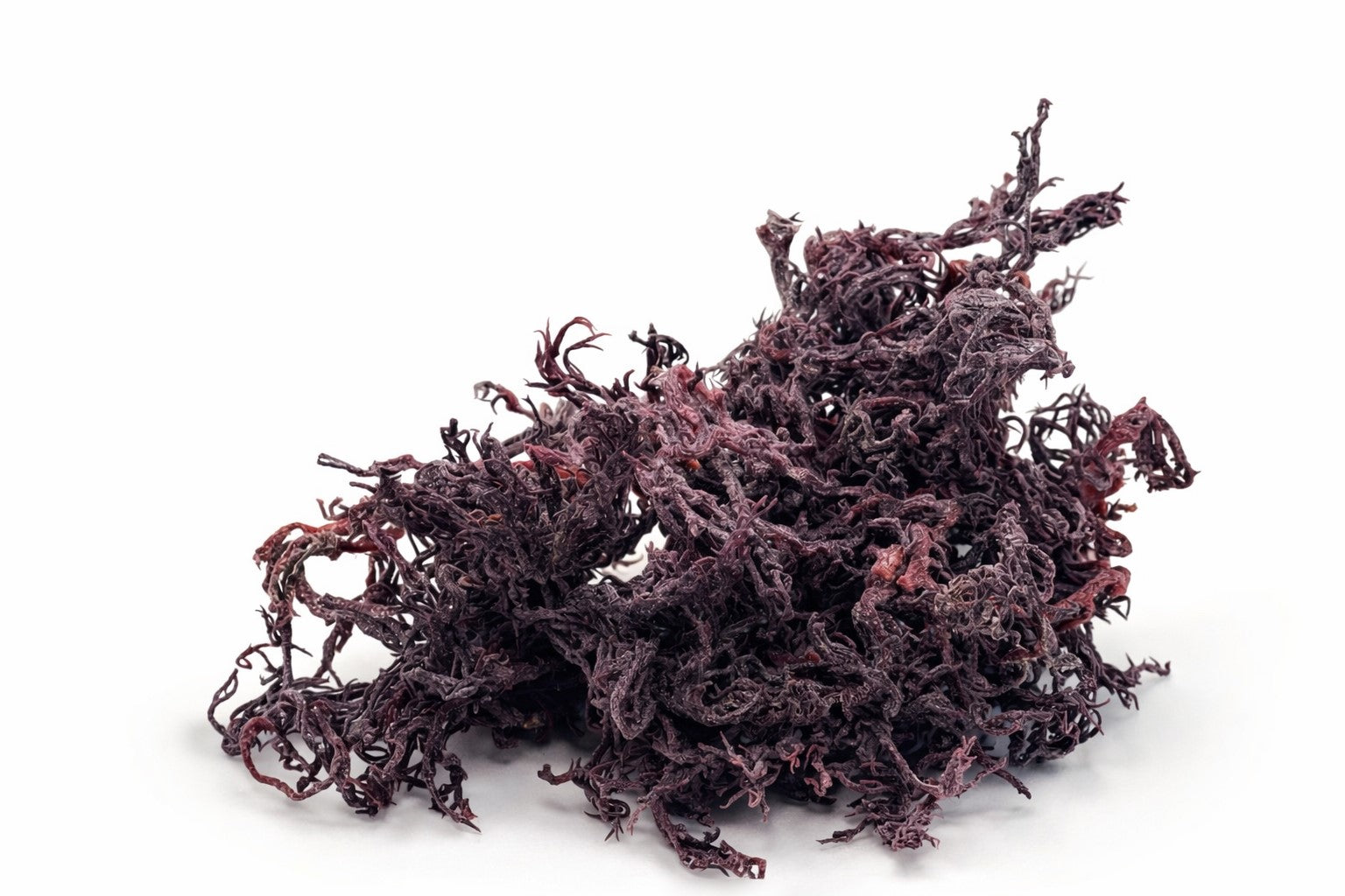 Wildcrafted Raw purple sea moss, dried texture - Daily Moss UK