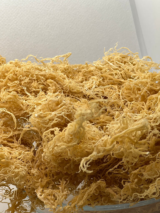 100% Wildcrafted Raw Sea Moss